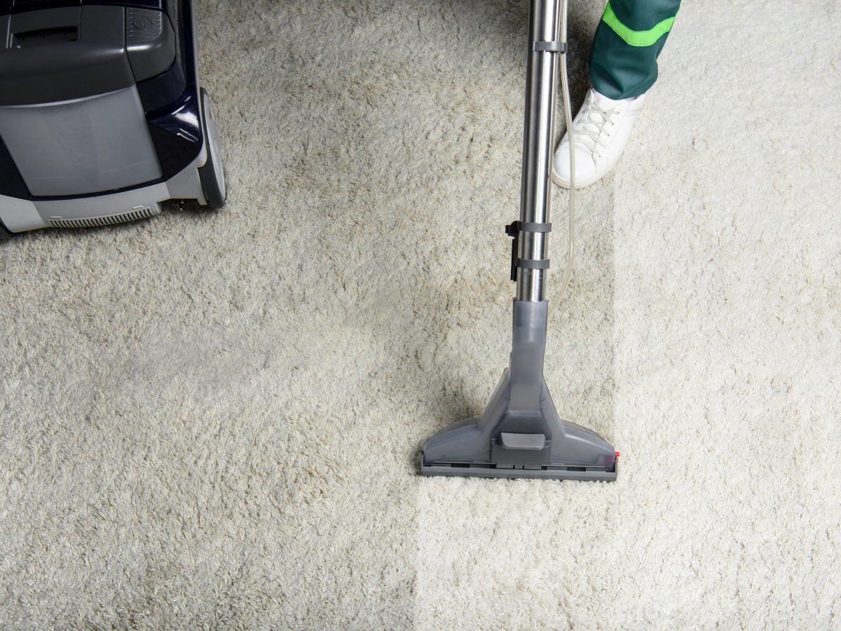 How can you clean your&nbsp;carpet?